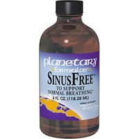 Sinus Relief, 2 oz, King Bio Homeopathic (KingBio)