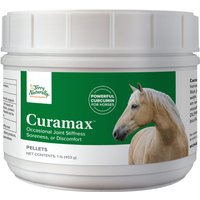 Terry Naturally Animal Health Curamax, Powerful Curcumin for Horses, 1 lb (453 g), EuroPharma