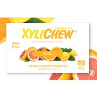 XyliChew Sugar Free Chewing Gum, Fruit, 60 Pieces