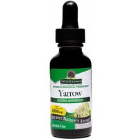 Yarrow Flowers Alcohol Free Liquid Extract 1 oz from Natures Answer