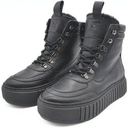 Werner 1911 Atlaslöwe-Boots aus kbT-Leder