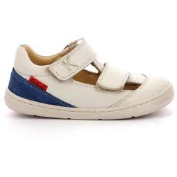 Sneakers Kickers Kickbloom