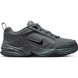 Hallenschuhe Nike Air Monarch IV