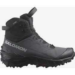 Salomon Crosstrak Powder WaterProof Stiefel carbongrau - 44(2/3)