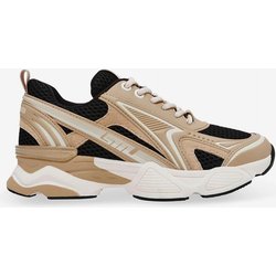 Steve Madden Speedster-E Damen Sneaker beige/pechschwarz - 37