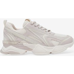 Steve Madden Speedster-E Damen Sneaker weiß/hellgrau - 37