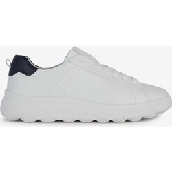 Geox Spherica EC4.1, Laufschuhe, weiß schwarz - 40