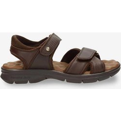 Panama Jack Sanders Sandalen braun - 46