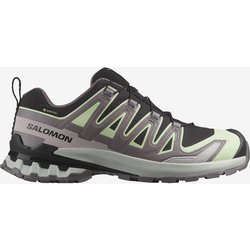 Salomon XA PRO 3D v9 GORE-TEX Damen Trailrunningschuhe violett/schwarz - 36(2/3)