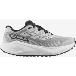Salomon Aero Blaze 3 Grvl Trailrunningschuhe grau - 44(2/3)