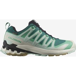 Salomon XA PRO 3D v9 GORE-TEX Damen Trailrunningschuhe türkis - 36(2/3)