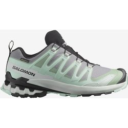 Salomon XA PRO 3D v9 GORE-TEX Damen Trailrunningschuhe grau/grün - 36