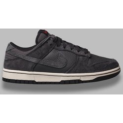 Nike dunk low back prm
