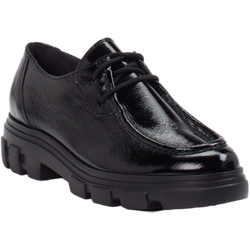 Paul Green Schnürschuh in schwarz in Größe: 37 für Damen