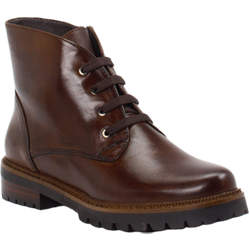 Ralph Harrison Schnürstiefelette in braun in Größe: 36.5 für Damen