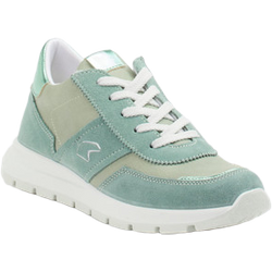 Primigi Sneaker Kinder in grün in Größe: 35 Weite: W