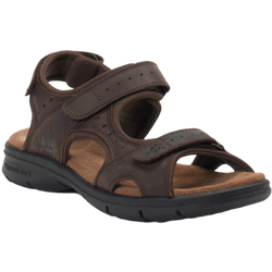 Panama Jack Sandale in braun in Größe: 46 für Herren