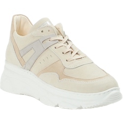 Piedi Nudi Schnürschuh in beige in Größe: 37 für Damen
