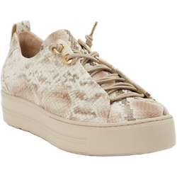 Paul Green Sneaker in beige in Größe: 38 für Damen