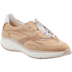 Hassia Schnürschuh in beige in Größe: 38 für Damen Weite: H