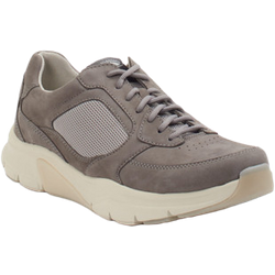 Pius Gabor Sneaker in grau in Größe: 40.5 für Herren