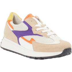 Gabor Comfort Sneaker in multi/bunt in Größe: 37 für Damen Weite: H