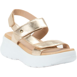 Panama Jack Plateau-Sandalette in gelb in Größe: 37 für Damen