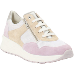 Solidus Sneaker in multi/bunt in Größe: 37 für Damen Weite: K