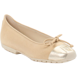 Mania Ballerina in beige in Größe: 36 für Damen