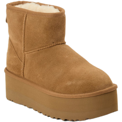 UGG Stiefelette in braun in Größe: 40 für Damen