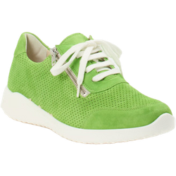 Solidus Sneaker in grün in Größe: 37 für Damen Weite: H