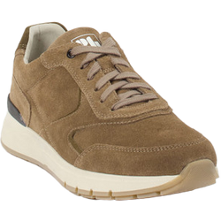 Pius Gabor Sneaker in braun in Größe: 40.5 für Herren
