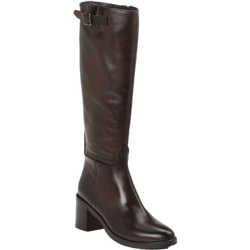 Andrea Puccini Stiefel in braun in Größe: 36 für Damen