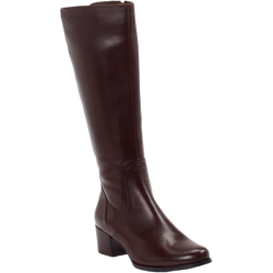 Ralph Harrison Stiefel in braun in Größe: 36 für Damen