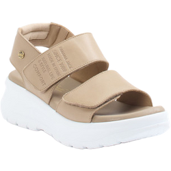 Panama Jack Plateau-Sandalette in braun in Größe: 37 für Damen