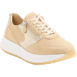 Sioux Sneaker in beige in Größe: 37 für Damen Weite: J