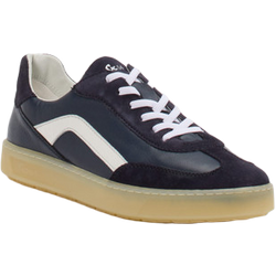 Sioux Sneaker in blau/weiß in Größe: 37 für Damen Weite: G