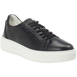 Sioux Sneaker in schwarz in Größe: 41 für Herren Weite: G