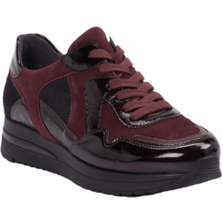 Semler Sneaker in rot in Größe: 37 für Damen Weite: H