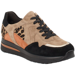 Semler Sneaker in multi in Größe: 38.5 für Damen Weite: H