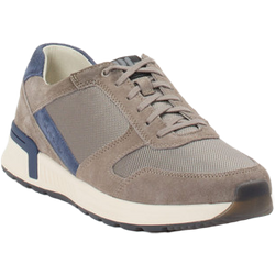 Pius Gabor Sneaker in grau in Größe: 40.5 für Herren