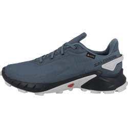 Laufschuhe Alphacross 4 GTX Herren