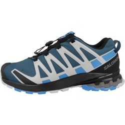Laufschuhe XA PRO 3D V8 GTX Herren