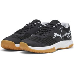 Varion II Indoor Hallensportschuhe Erwachsene PUMA