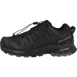 Laufschuhe XA PRO 3D V9 GTX Damen