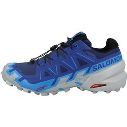 Laufschuhe Speedcross 6 GTX Herren