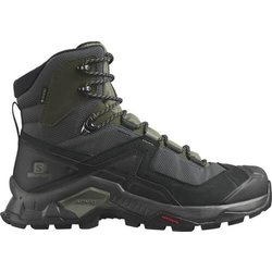 Herren trekking Schuhe Salomon Quest Element Gtx