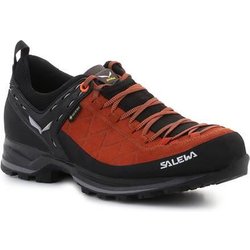 Herren trekking Schuhe Salewa MS Mtn Trainer 2 Gtx