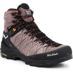 Herren trekking Schuhe Salewa MS Alp Trainer 2 Mid Gtx