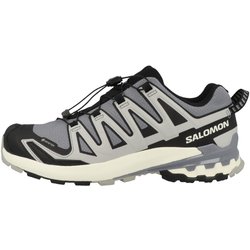 Laufschuhe XA PRO 3D V9 GTX Herren